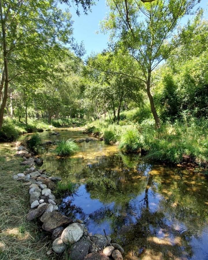 Hotel Ribera Del Corneja Navacepedilla de Corneja エクステリア 写真